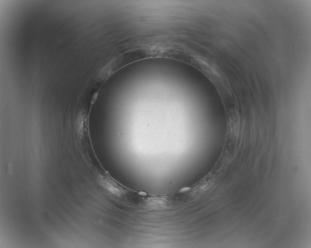 X0000075890574200609291709