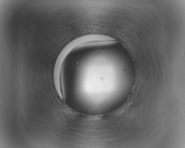 X0000075890576200609291709