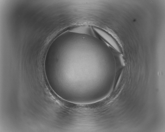 X0000075890577200609291708