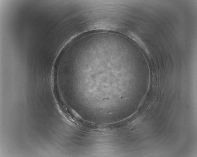 X0000075890580200609291708