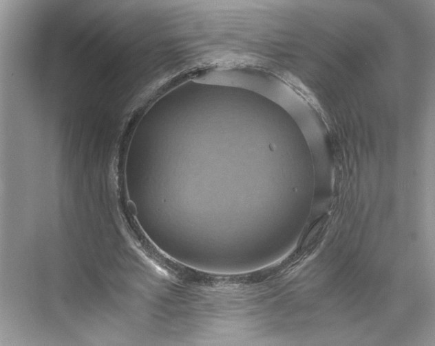 X0000075890581200609291708