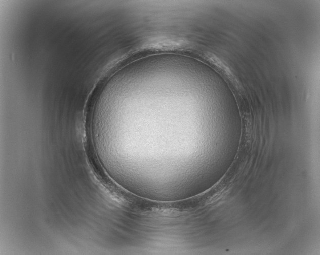 X0000075890582200609291708