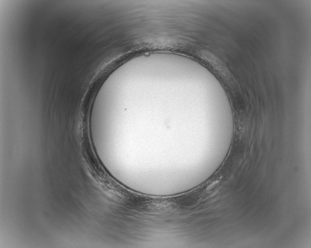 X0000075890583200609291708