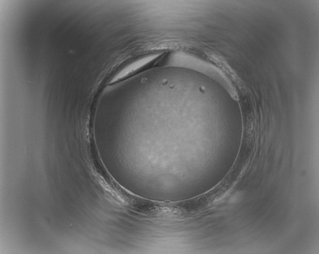 X0000075890585200609291708