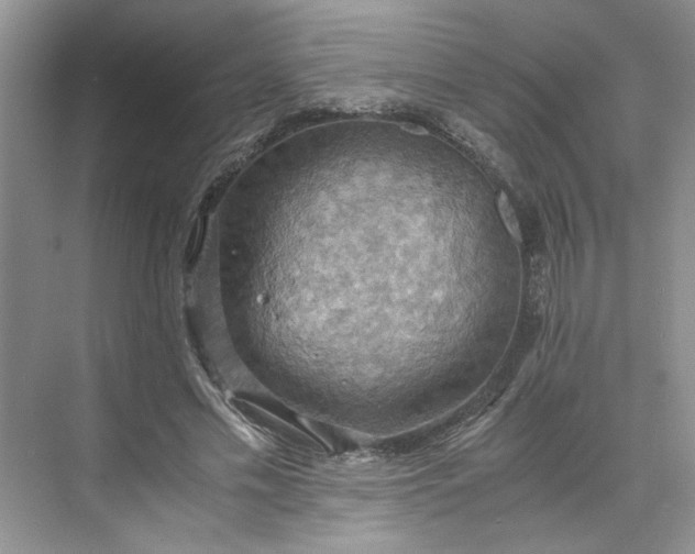 X0000075890589200609291708