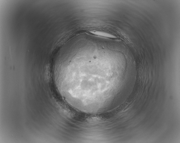 X0000075890594200609291708