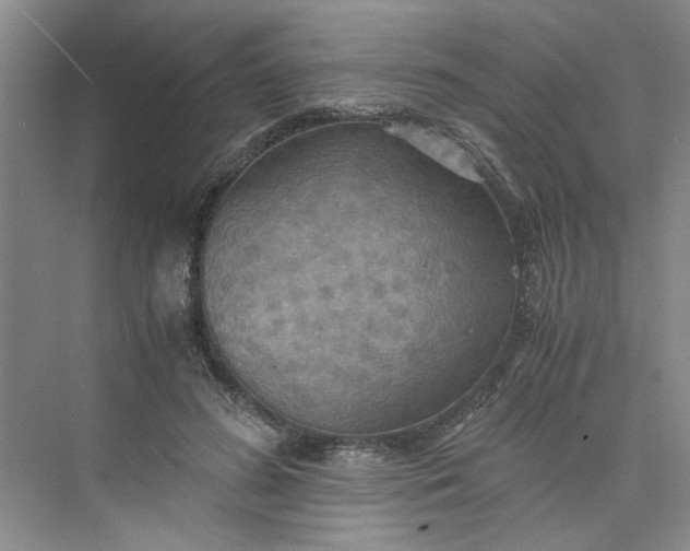 X0000075890596200609291708