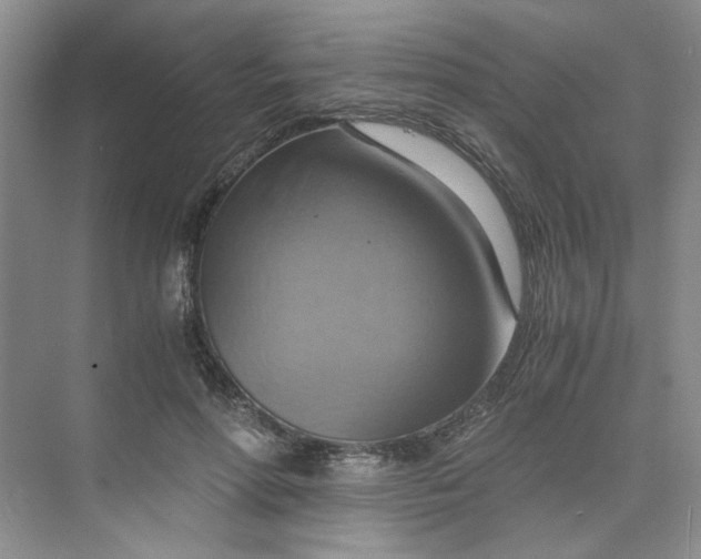 X0000075890598200609291708