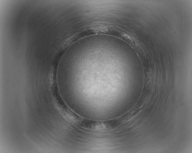 X0000075890600200609291708