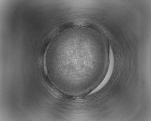 X0000075890601200609291708