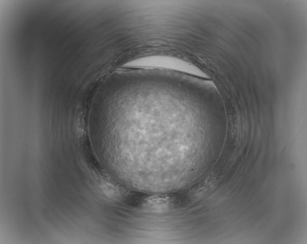 X0000075890606200609291708