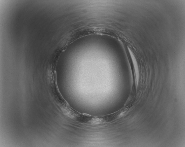 X0000075890609200609291707