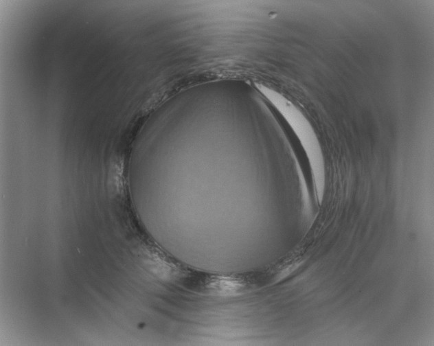 X0000075890610200609291707