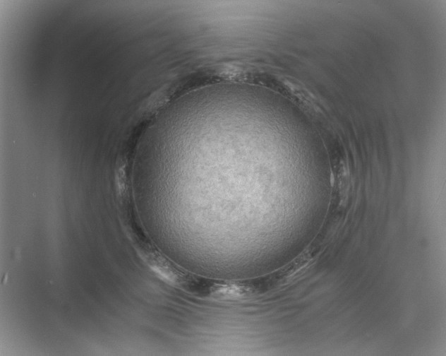 X0000075890611200609291707