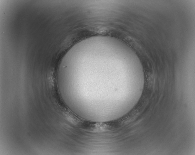 X0000075890612200609291707