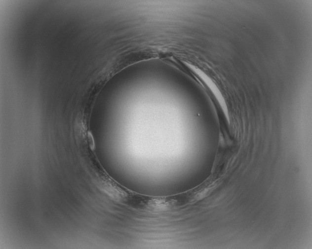 X0000075890613200609291707