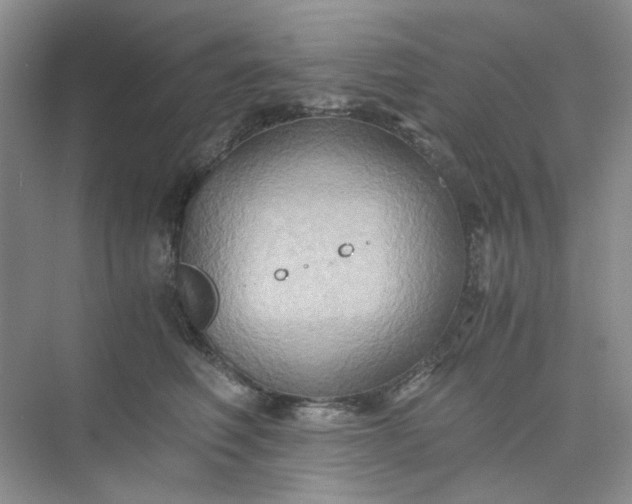 X0000075890614200609291707