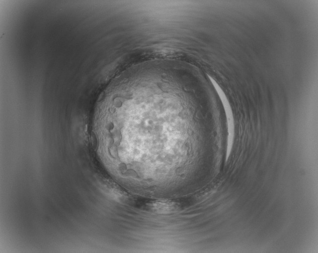 X0000075890615200609291707