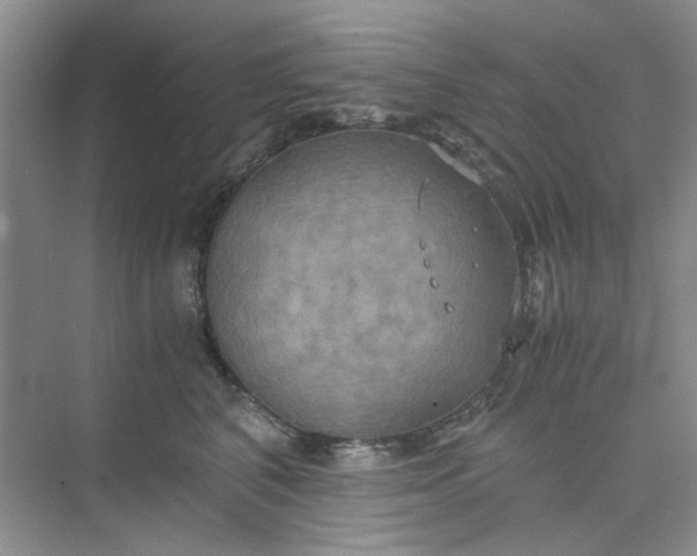 X0000075890616200609291707