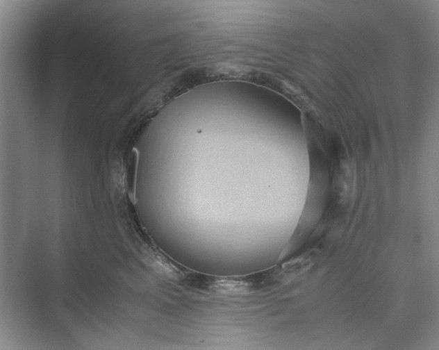 X0000075890617200609291707