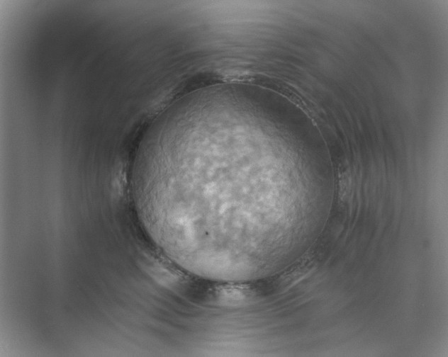 X0000075890618200609291707