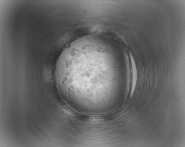 X0000075890619200609291707