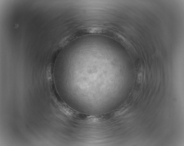 X0000075890620200609291707