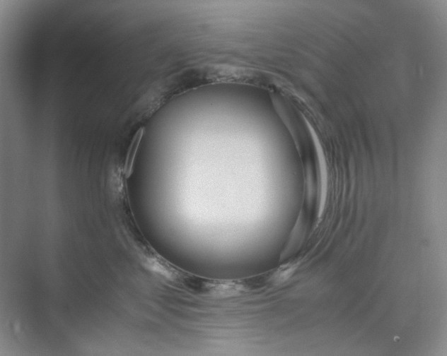 X0000075890621200609291707