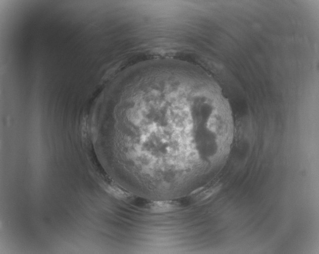 X0000075890623200609291707