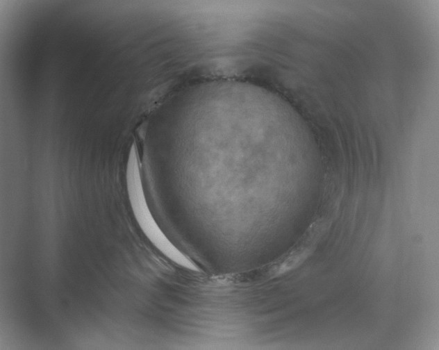 X0000075890624200609291707