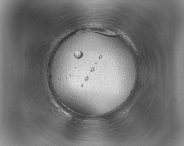 X0000075890625200609291706