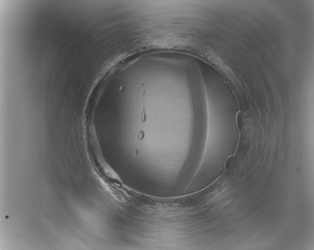 X0000075890626200609291706