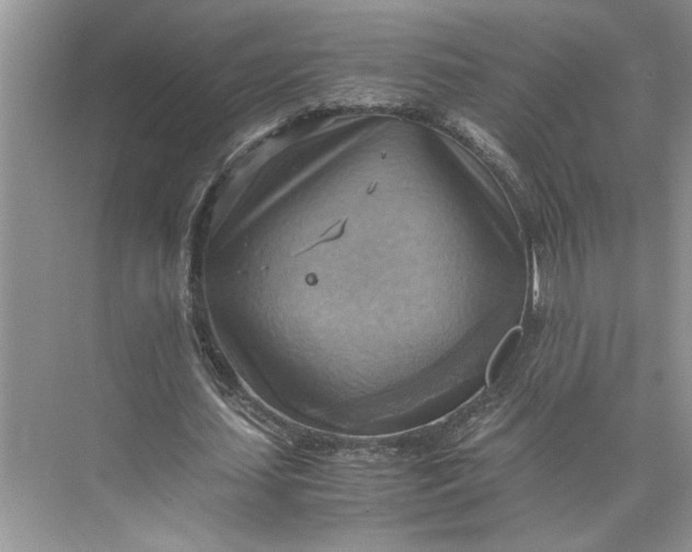 X0000075890627200609291706