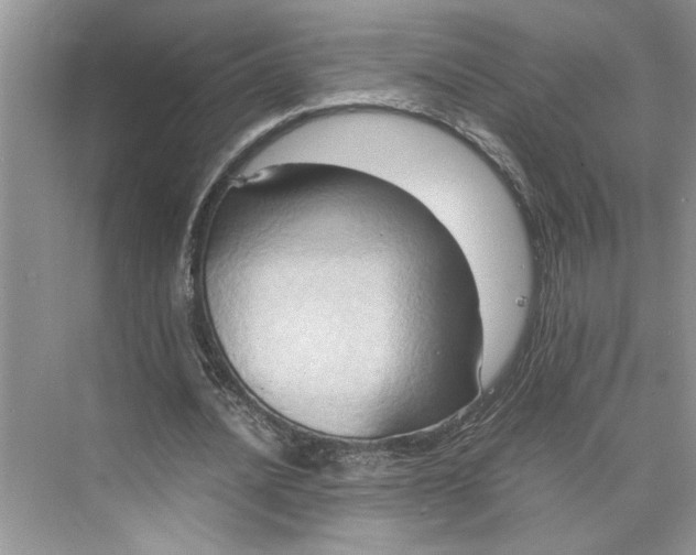 X0000075890628200609291706