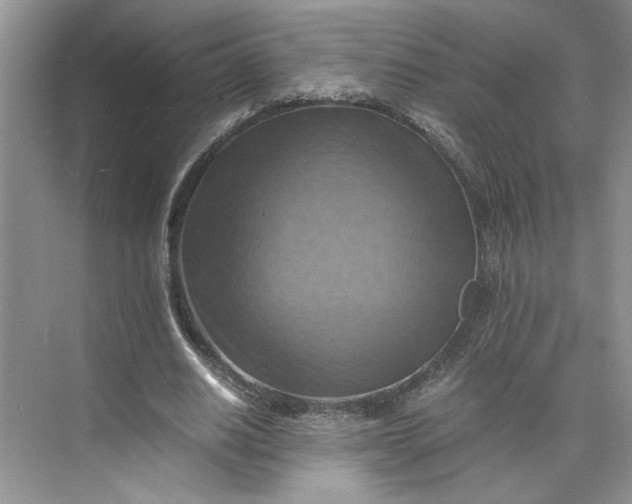 X0000075890630200609291706