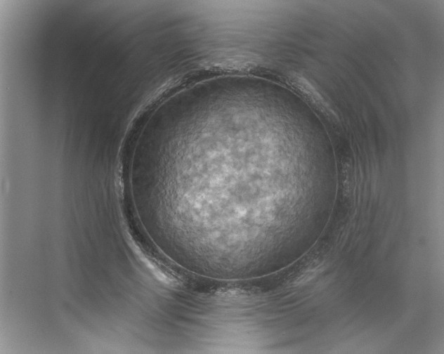 X0000075890634200609291707