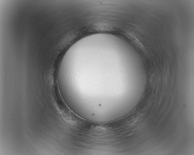 X0000075890635200609291707