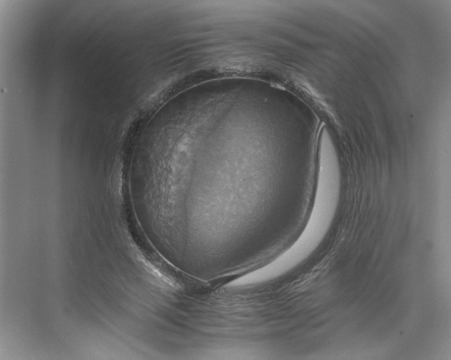 X0000075890637200609291707