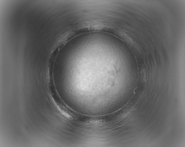 X0000075890638200609291707