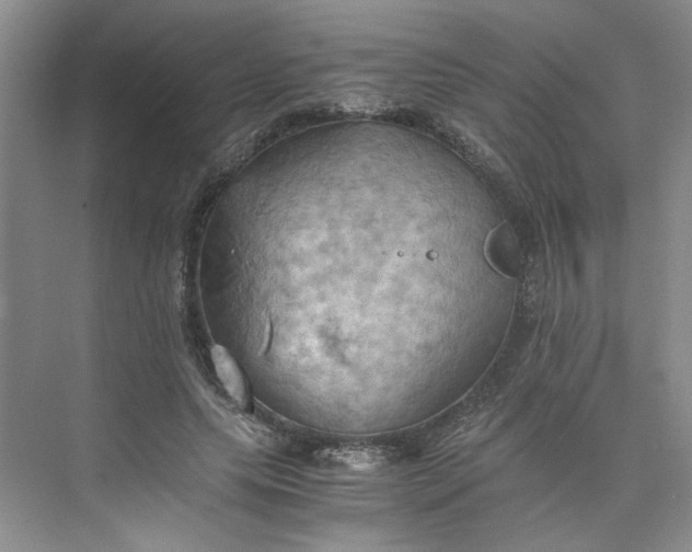 X0000075890639200609291707