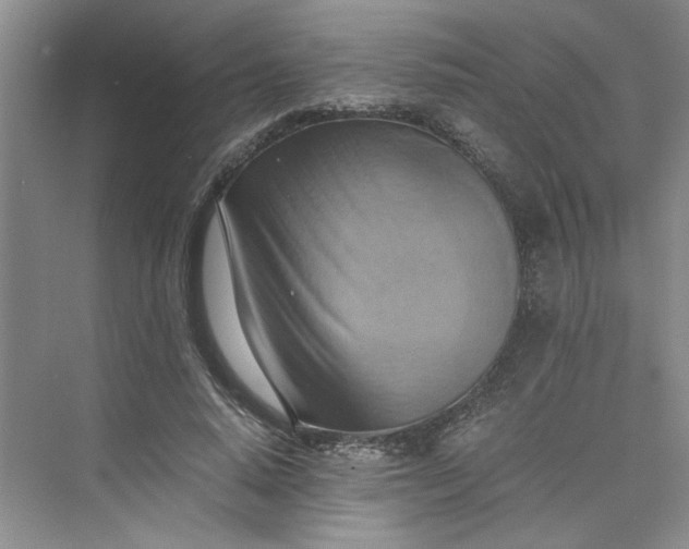 X0000075890640200609291707