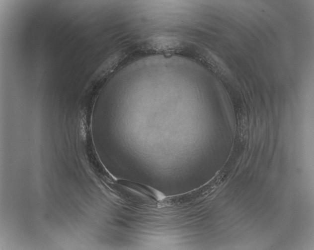 X0000075890644200609291707