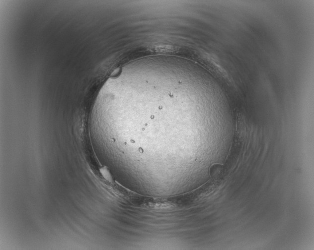 X0000075890645200609291707