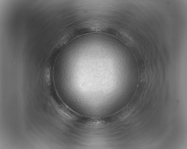 X0000075890646200609291707