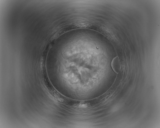 X0000075890647200609291707