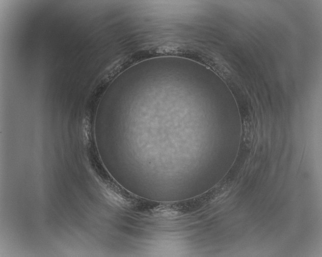 X0000075890648200609291707