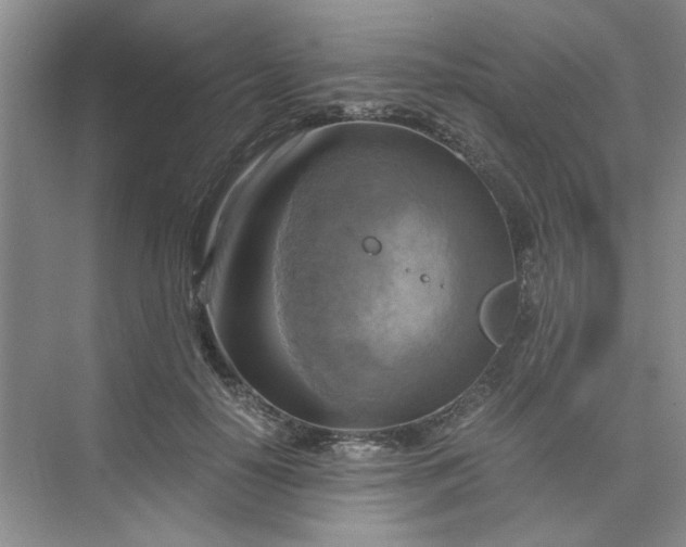 X0000075890650200609291707