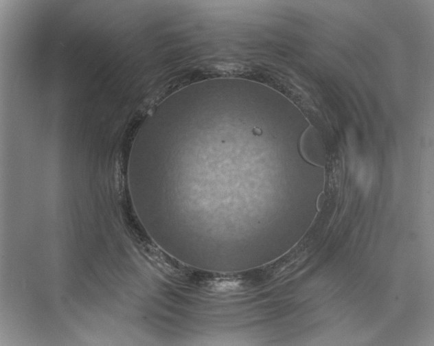 X0000075890651200609291707