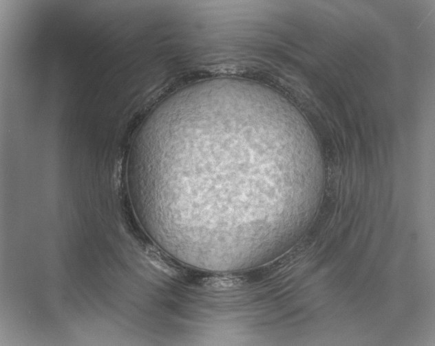 X0000075890652200609291707