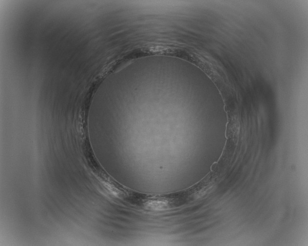 X0000075890653200609291707